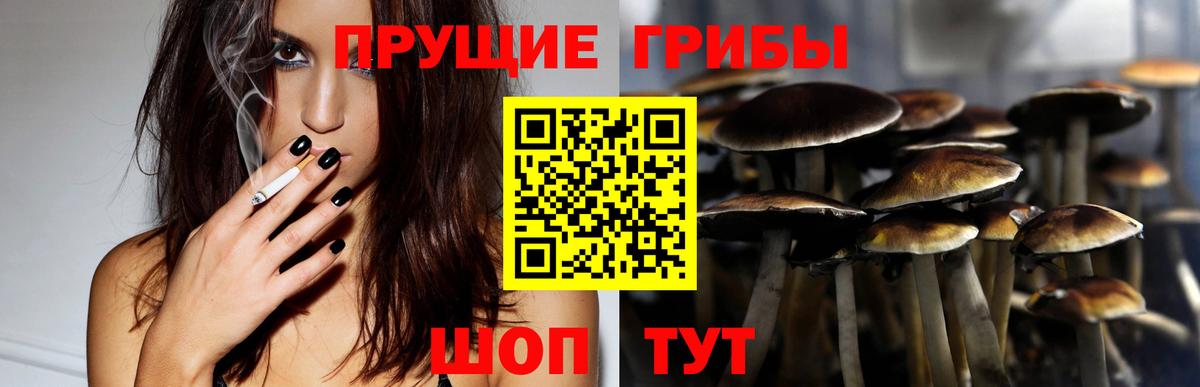 Псилоцибиновые грибы GOLDEN TEACHER  Вход с VPN  Грозный  Галлюциногенные грибы ЛСД 